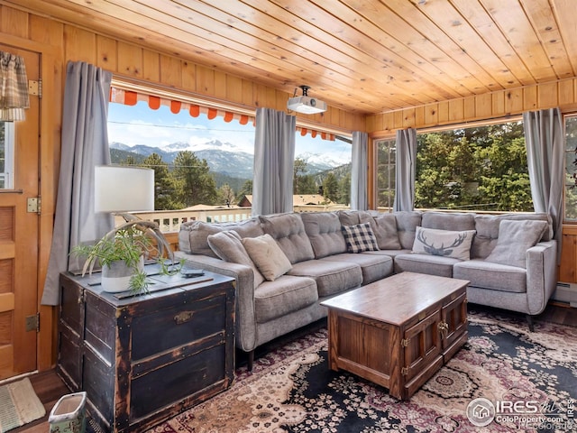 living area with wooden ceiling, a mountain view, a baseboard heating unit, wood walls, and wood finished floors