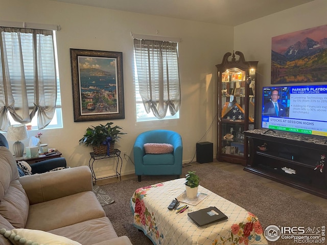 1431 Vantage Pkwy, Berthoud, CO 80513 - view of living room