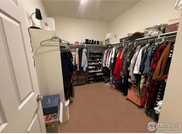 1431 Vantage Pkwy, Berthoud, CO 80513 - walk in closet with carpet floors
