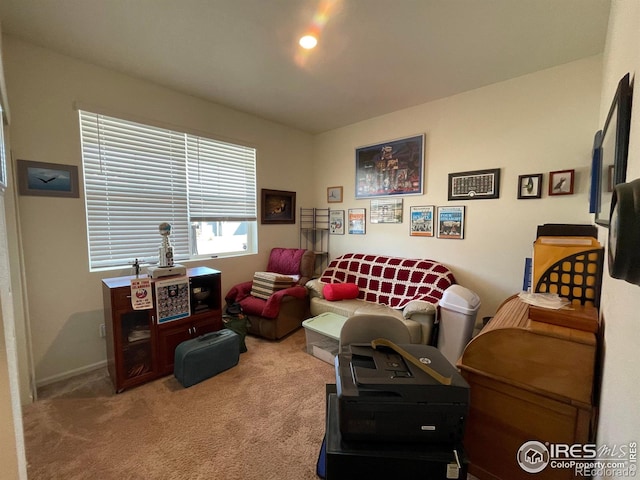 1431 Vantage Pkwy, Berthoud, CO 80513 - view of carpeted living room