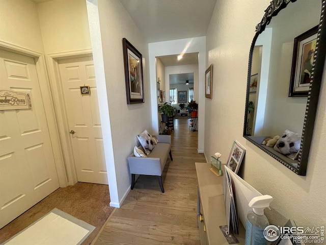1431 Vantage Pkwy, Berthoud, CO 80513 - hall with wood finished floors and baseboards