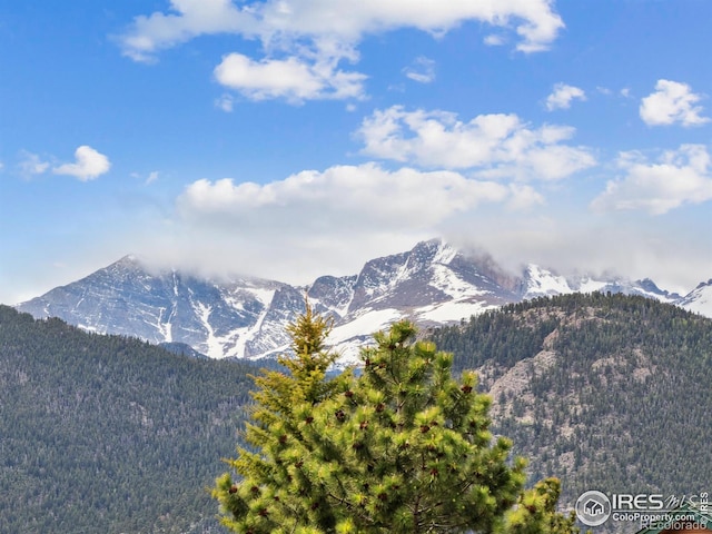 property view of mountains with a wooded view