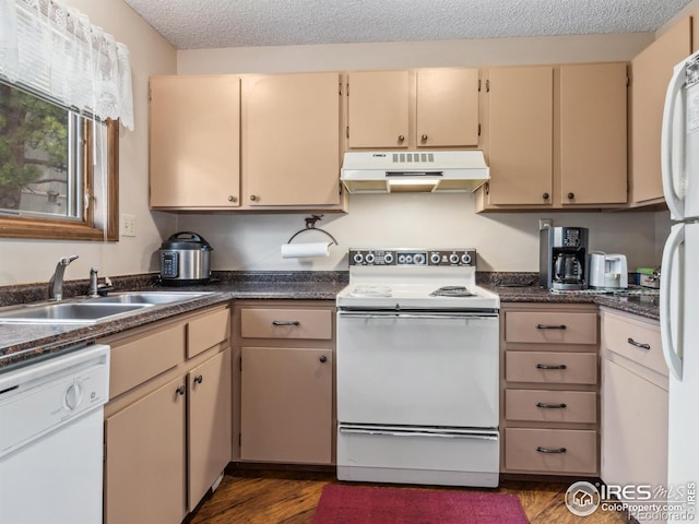 kitchen featuring dark wood-style floors, a sink, a textured ceiling, white appliances, and under cabinet range hood