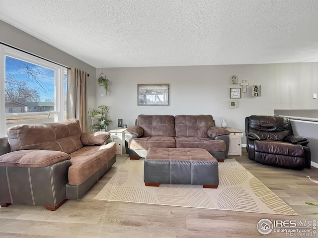 living area featuring light wood finished floors and a textured ceiling