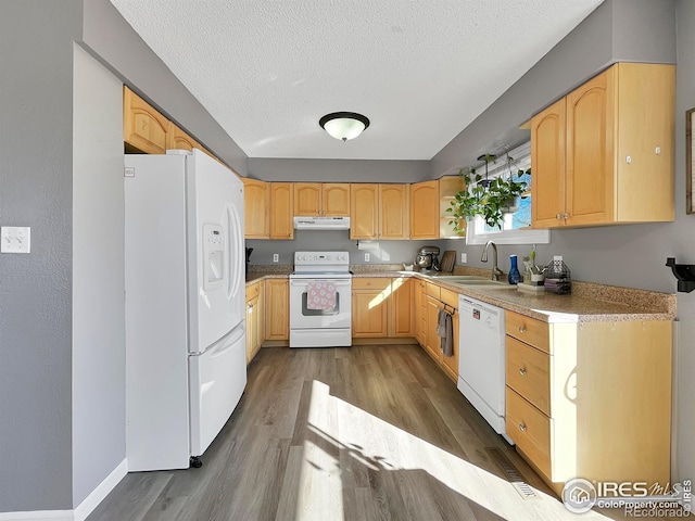 kitchen with white appliances, dark wood finished floors, light brown cabinetry, under cabinet range hood, and a sink