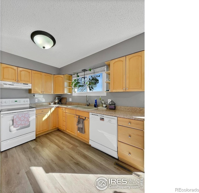 kitchen featuring open shelves, light brown cabinets, a sink, white appliances, and under cabinet range hood