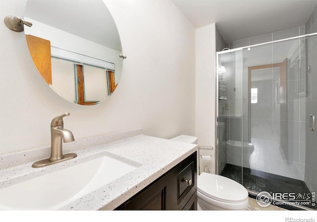 bathroom featuring toilet, a shower stall, and vanity