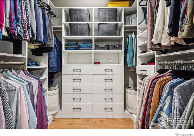 walk in closet featuring wood finished floors