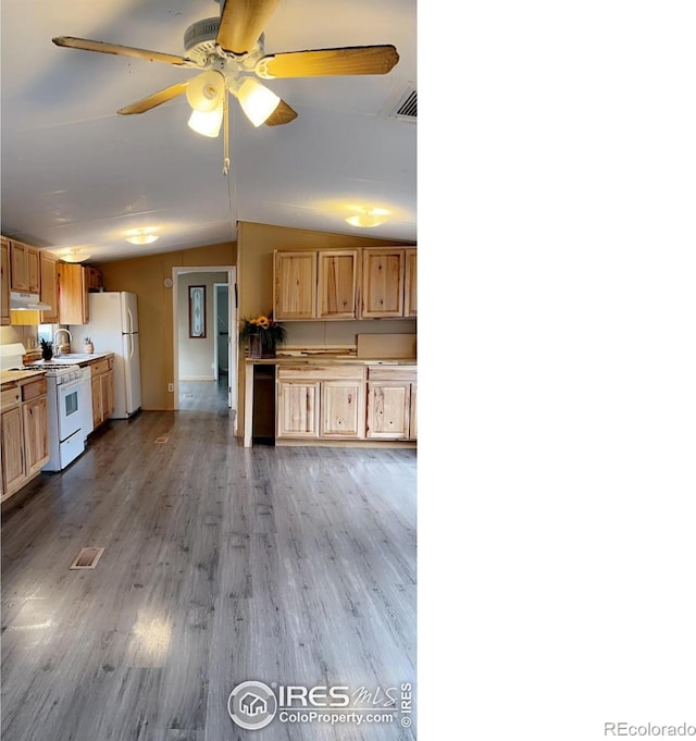 kitchen with white appliances, wood finished floors, vaulted ceiling, under cabinet range hood, and a sink