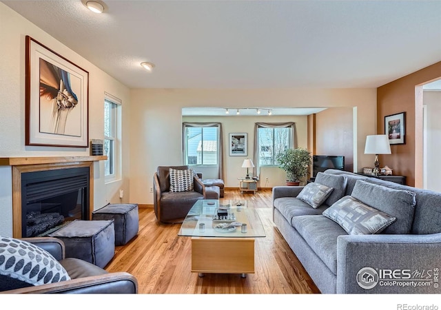 living area with light wood-style flooring, track lighting, and a glass covered fireplace