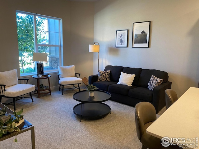 view of carpeted living area