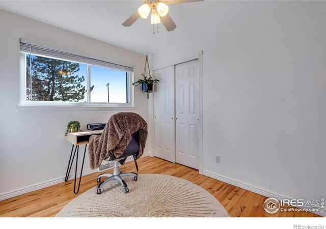 office featuring wood finished floors, a ceiling fan, and baseboards