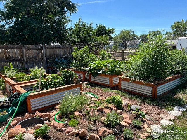 view of yard featuring a vegetable garden and fence