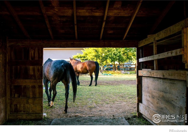 view of horse barn