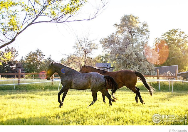 view of horse barn