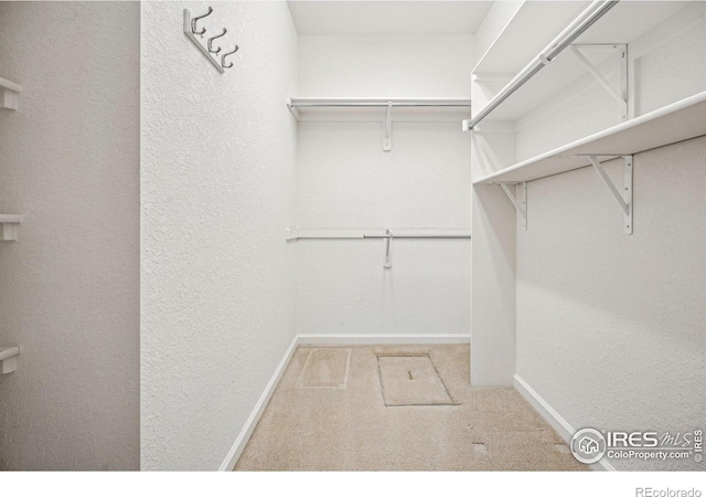 walk in closet with carpet flooring