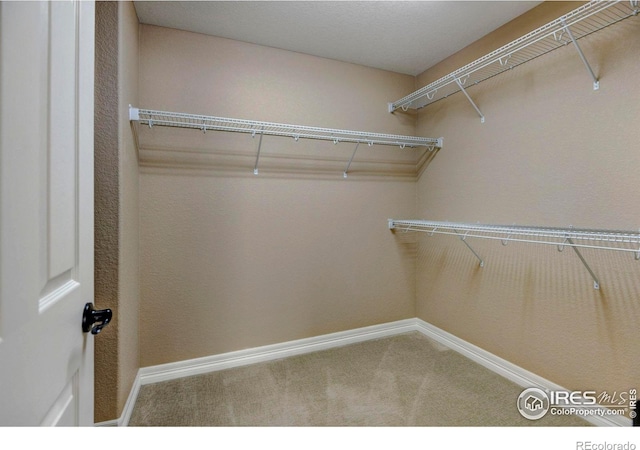 spacious closet with carpet flooring