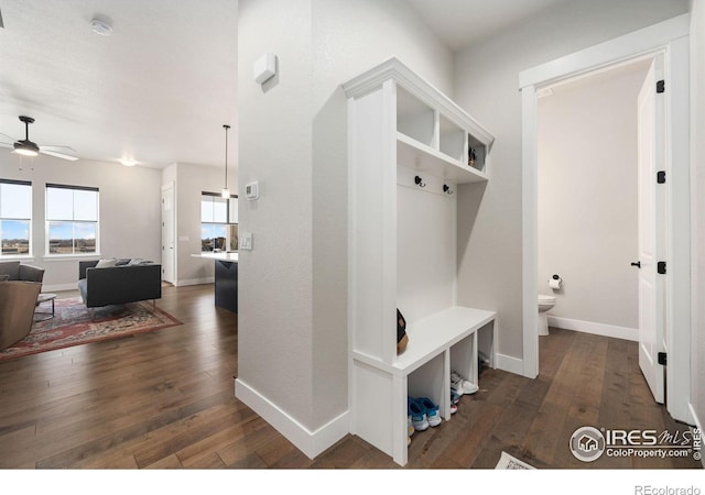 2748 Prairie Flax St, Berthoud, CO 80513 - mudroom featuring ceiling fan, baseboards, and dark wood finished floors