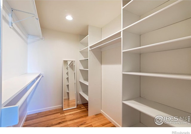 spacious closet featuring light wood-style floors