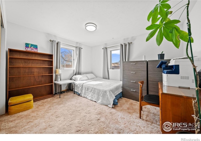 bedroom with carpet flooring