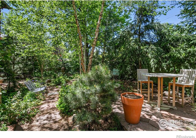 view of yard with outdoor dining space