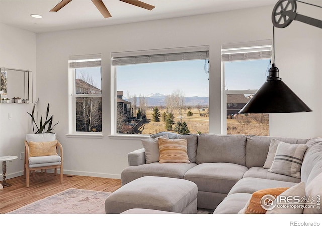 living area featuring a wealth of natural light, a mountain view, baseboards, and wood finished floors