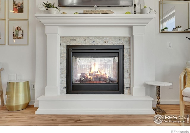 details featuring baseboards, wood finished floors, and a multi sided fireplace