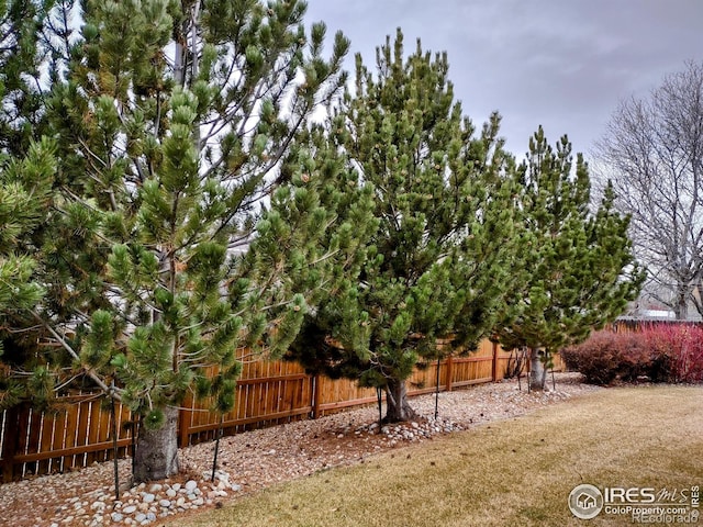 view of yard with fence