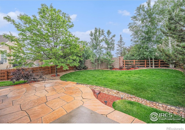 4910 Crimson Star Dr, Broomfield, CO 80023 - fenced backyard with a patio area