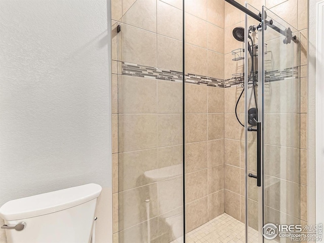 4910 Crimson Star Dr, Broomfield, CO 80023 - bathroom with a shower stall and a textured wall