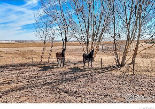 view of nature with a rural view