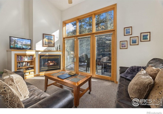 2120 Fall River Rd Unit 1, Estes Park, CO 80517 - photo 10