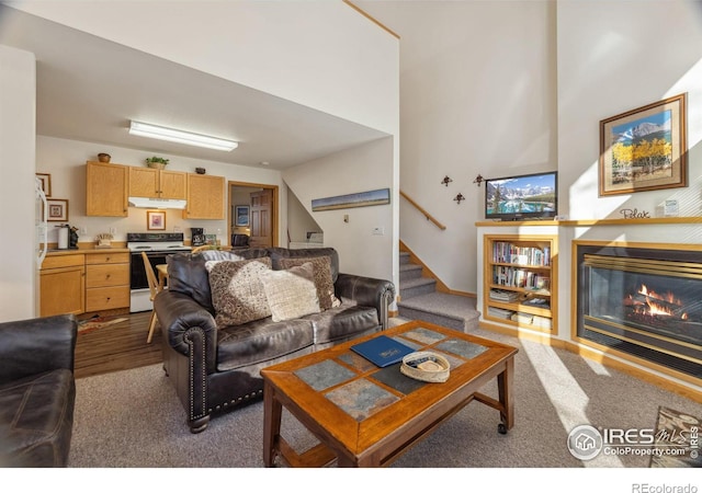 2120 Fall River Rd Unit 1, Estes Park, CO 80517 - photo 13