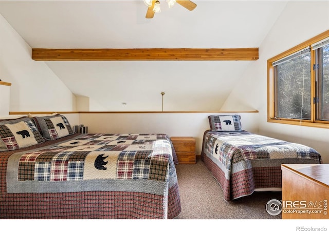 2120 Fall River Rd Unit 1, Estes Park, CO 80517 - photo 23