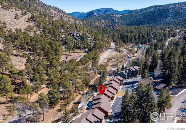 2120 Fall River Rd Unit 1, Estes Park, CO 80517 - photo 32