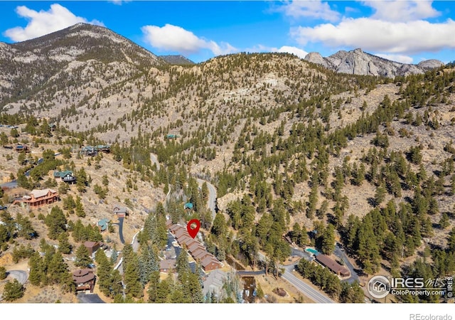 2120 Fall River Rd Unit 1, Estes Park, CO 80517 - photo 35