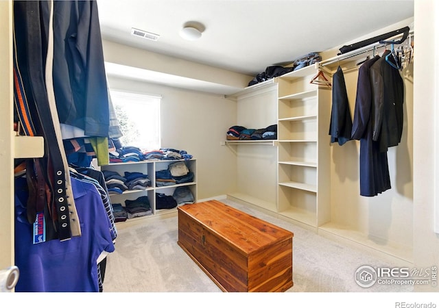 spacious closet with visible vents and carpet flooring