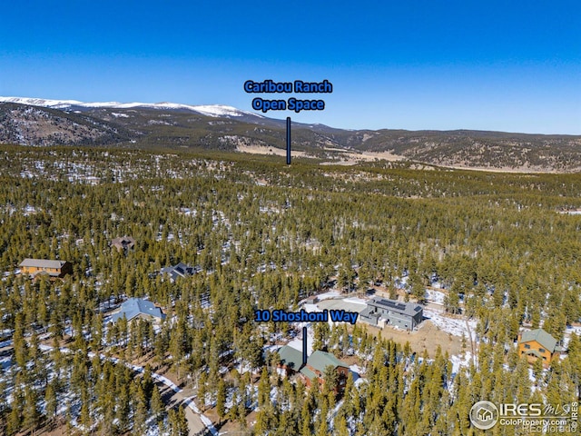 birds eye view of property featuring a mountain view