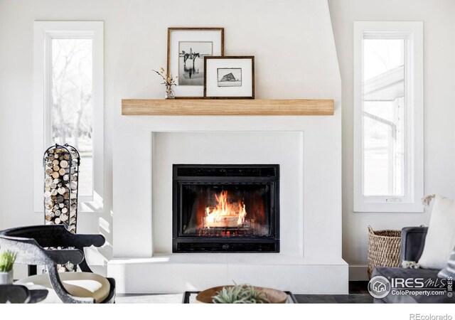 room details with a glass covered fireplace