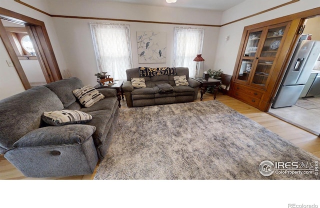 living room with light wood-style floors