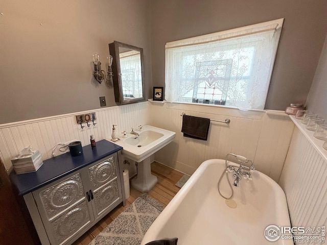 bathroom featuring a sink, wood finished floors, wainscoting, and a freestanding tub