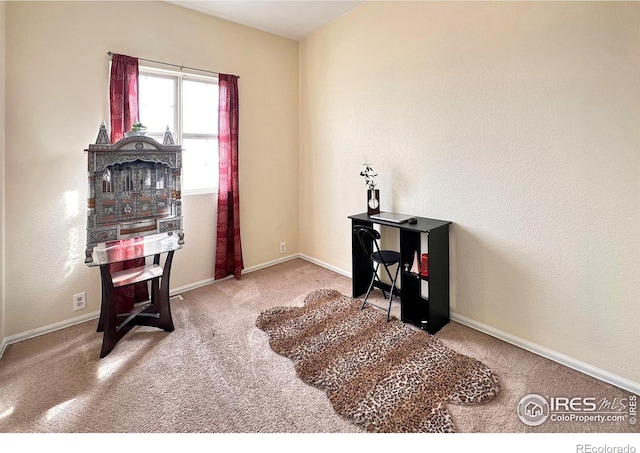 misc room with carpet and baseboards