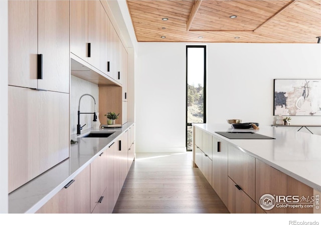 kitchen featuring floor to ceiling windows, light wood-style flooring, wood ceiling, a sink, and modern cabinets