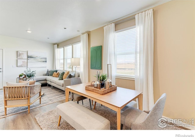 living area with light wood-style flooring