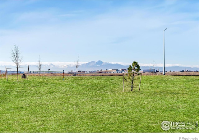 view of yard featuring a rural view and a mountain view