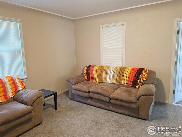 living area with baseboards, carpet, and ornamental molding