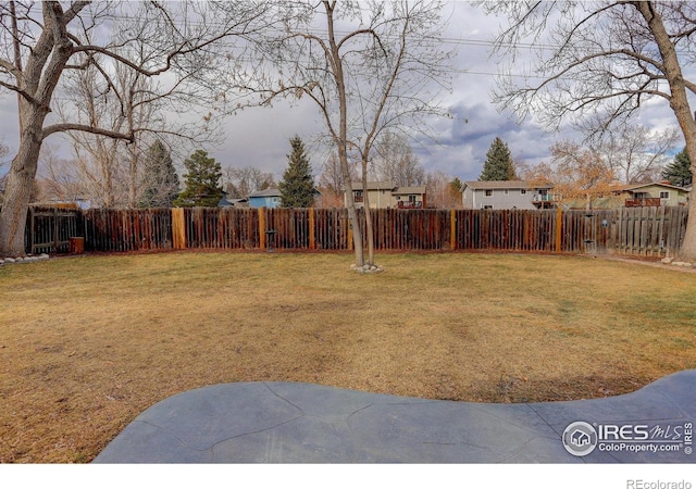 view of yard with a fenced backyard