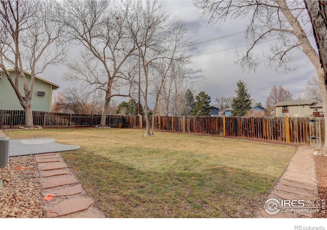 view of yard with a patio area and a fenced backyard