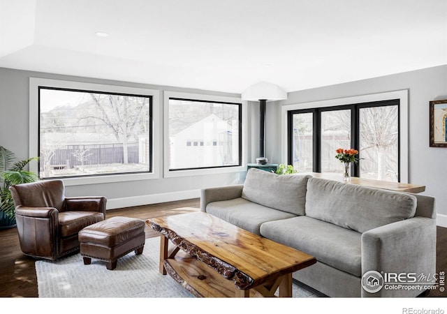 living room with baseboards and wood finished floors