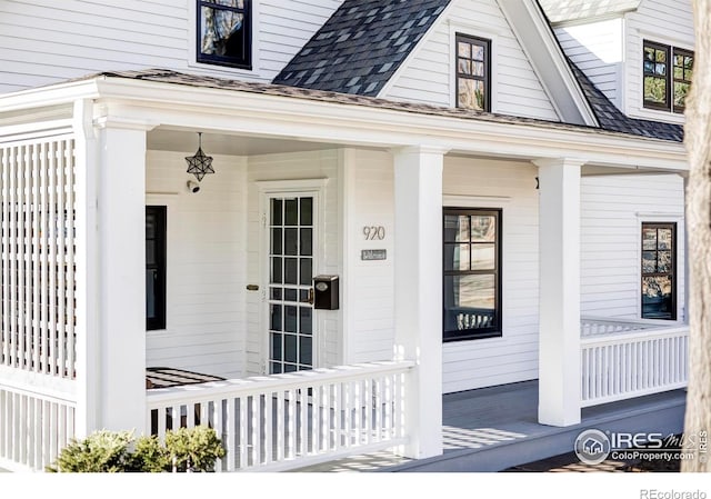 doorway to property featuring a shingled roof and covered porch